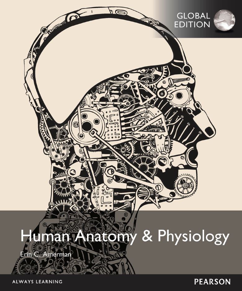 Human Anatomy And Physiology 1st 1e Pdf Ebook Download 