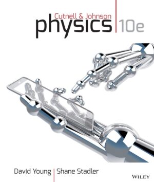 Physics 10th 10E David Young 9781118486894