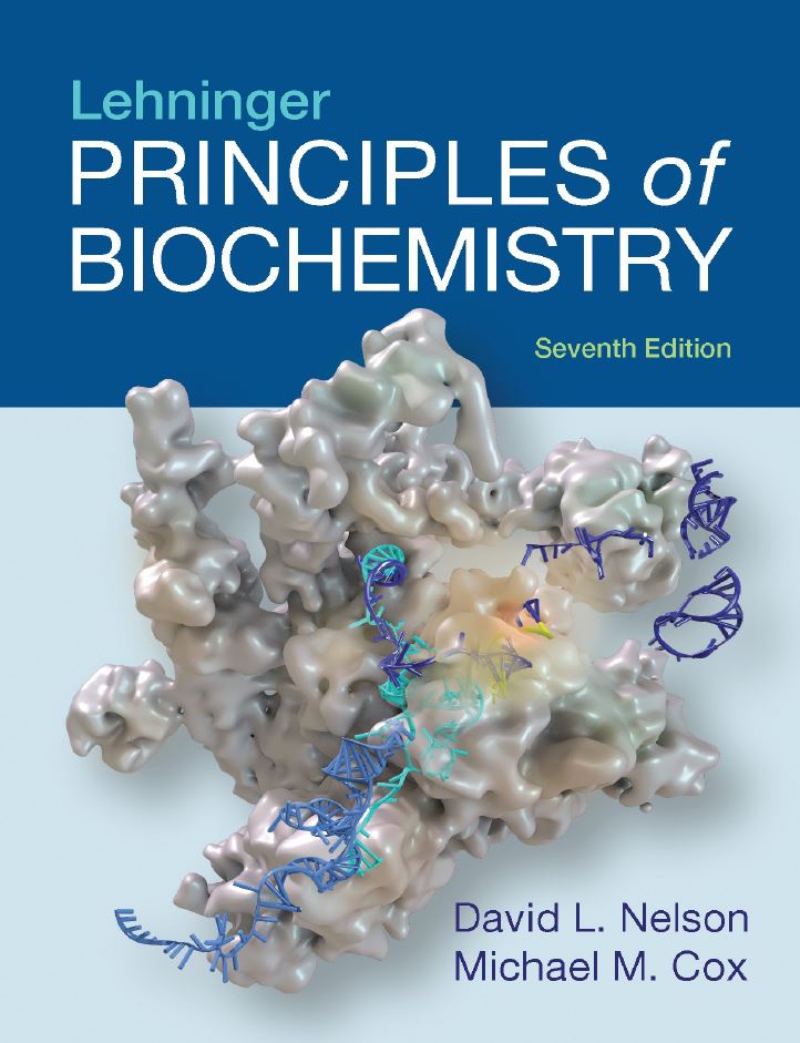 Test Bank Lehninger Principles of Biochemistry 7th 7E
